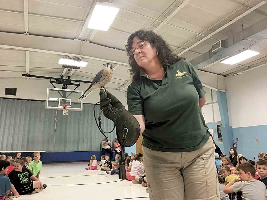 Raptors enrapture students at Worthington Elementary School News